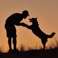 Jose Antonio Parra Garcia - фотограф