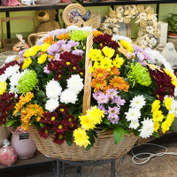 Svitlana - фотограф