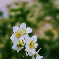 Никита Серебряков - photographer