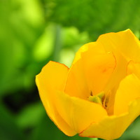 Marilena Dragoslavic - фотограф