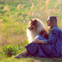 СВЕТЛАНА ГРАЧЕВА - photographer