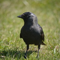 Егор Кондратьев - photographer