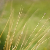 Анастасия Мирра - photographer