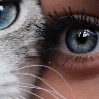 такі око - photographer