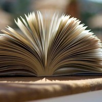 Svetlana Turbil - photographer