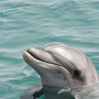 Евгений Рабинович - photographer