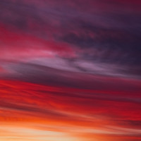 Ovidiu Domşa - photographer