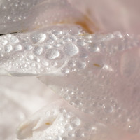 Любовь Тернова - photographer