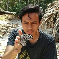 Raffi Akbar - фотограф