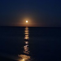 Kremena Dimova - photographer