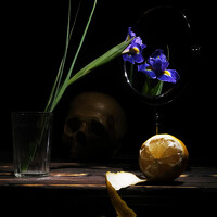 Мартынов Тим - photographer