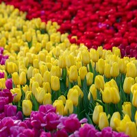 Ирина Калямова - фотограф