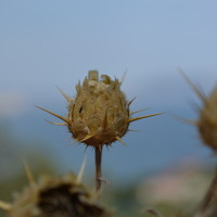 Дмитрий - photographer