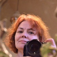 Елена Коптева - photographer