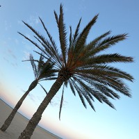 Iliyan Iliev - photographer