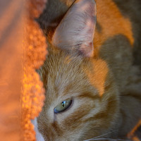 Ирина - photographer