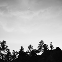 Анна Глухова - photographer