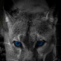 Stephen - photographer