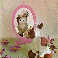 Елизавета Шавардина - photographer