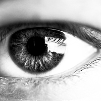 Dmitry Niko - фотограф