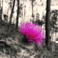 Наталья Егорова - photographer