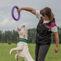 Елена Левина - photographer