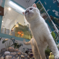 Đỗ Minh Hà Tuấn - photographer