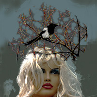 Юрий Грициенко - фотограф