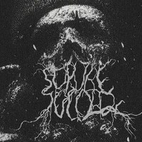 so pure • so cold - photographer