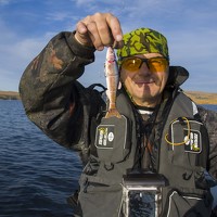 Владимир Терехов - photographer