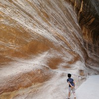 REAHBELN ALZATE - фотограф