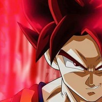 Wahib Ul Malik - фотограф