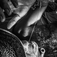 Alessandro Comito - photographer