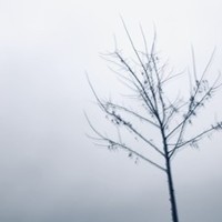 Юлия Зырина - photographer