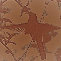 Cristina Bosio Ferrer - photographer