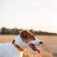 Марина Колобанова - photographer