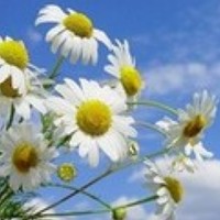 Наталья Слудникова - photographer