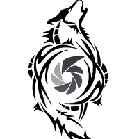 Владимир Зеленский - photographer