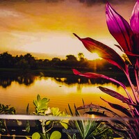 Valdecir Quirino - photographer