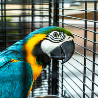 Эмиль Иманов - photographer