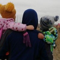 Николай Цыпандин - photographer