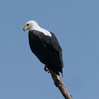 Tsegaye Yeshiwas - photographer