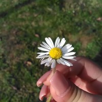 Suzana Cakciri - photographer