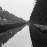 Anomalius Arsenius - photographer