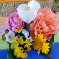 Rehana - photographer