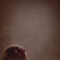 Gerson Toigo - фотограф