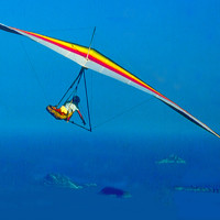 Eduardo Gavazzi - фотограф