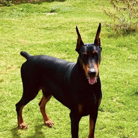 Luis Pardo - фотограф