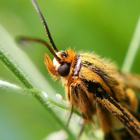 Дмитрий - фотограф