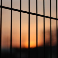 Алексей Абратанов - photographer